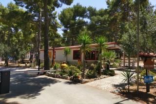 Sfinal Residence